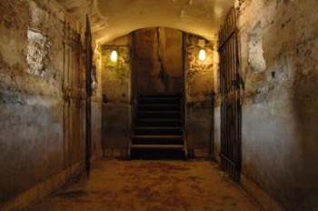Fort