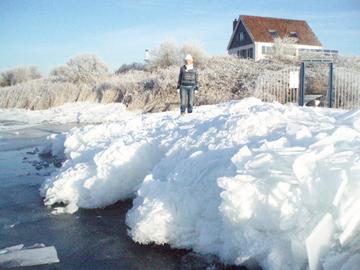 Pampus in de winter